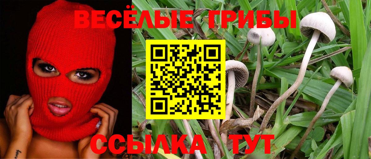 Галлюциногенные грибы мицелий  Вход с VPN  закладки  Карпинск 